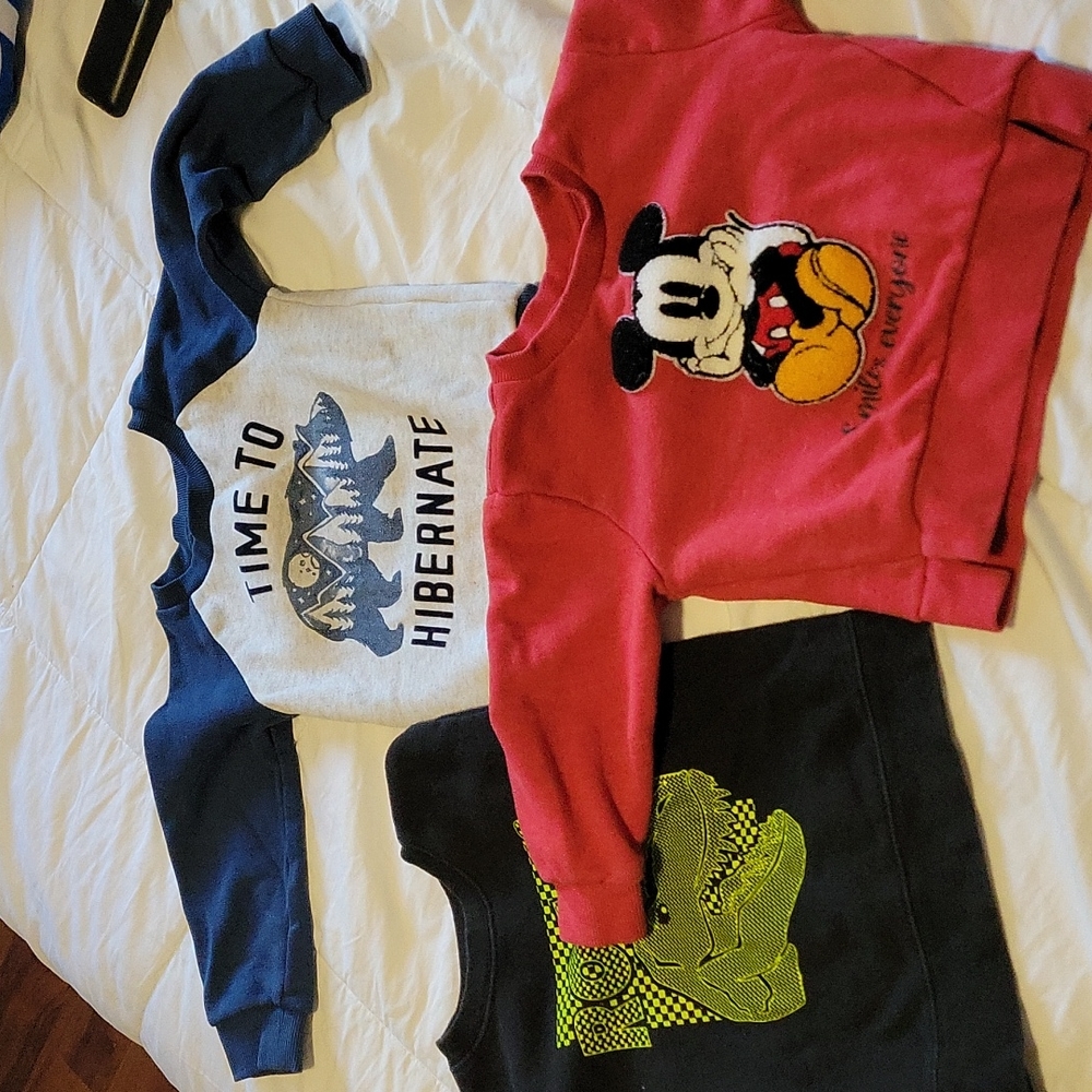 Toddler Size Bundle of 3 Sweatshirts